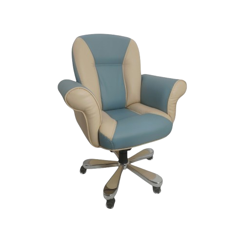 exequtive chair 